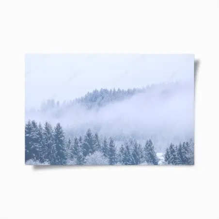 Póster bosque invernal en niebla, Alemania – Pixers®