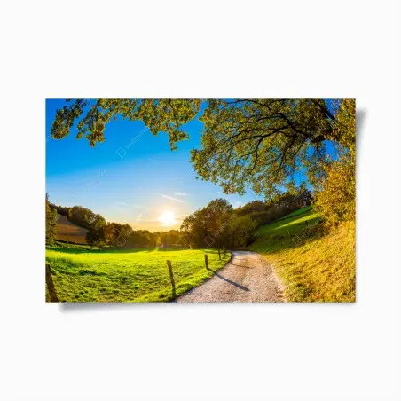 Póster sendero al atardecer en el campo – Pixers®