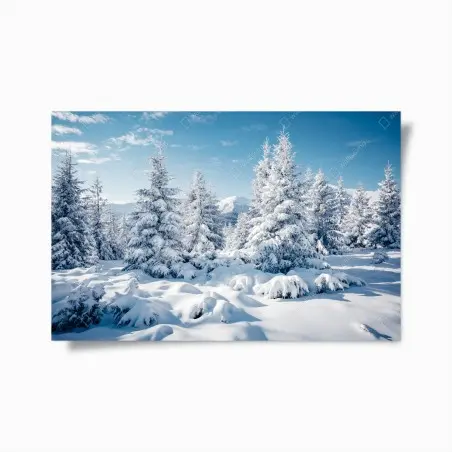Póster bosque de abetos nevados en los Cárpatos, Ucrania – Pixers®