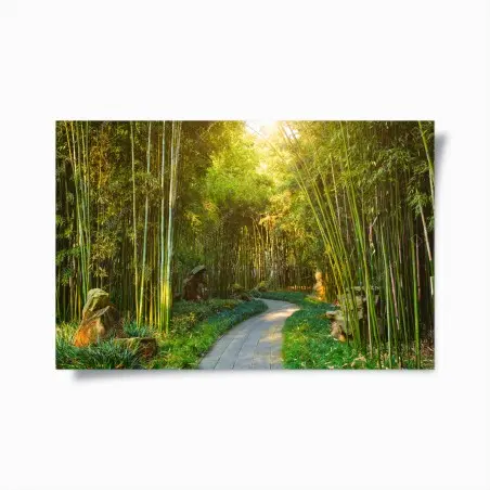 Póster sendero sereno entre bambús al amanecer – Pixers®