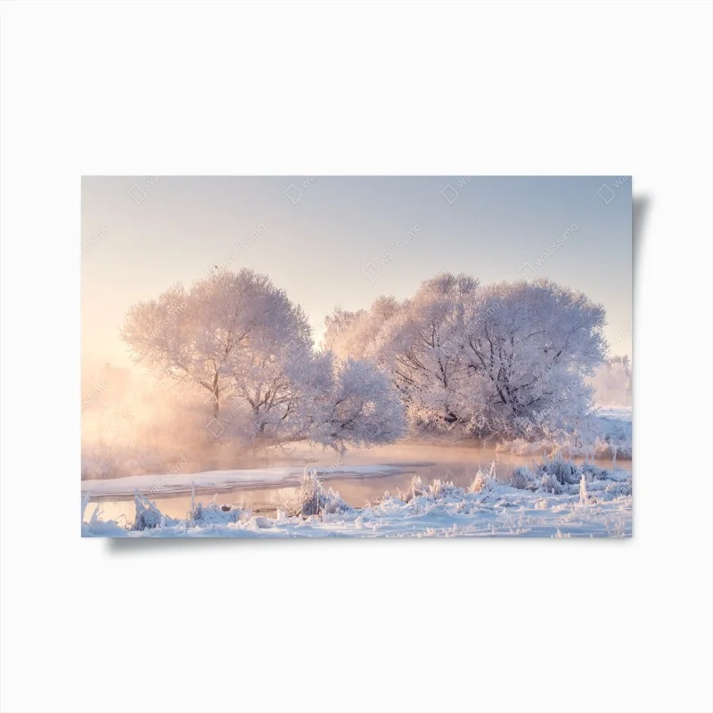 Póster amanecer invernal con árboles cubiertos de escarcha