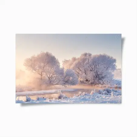 Póster amanecer invernal con árboles cubiertos de escarcha – Pixers®