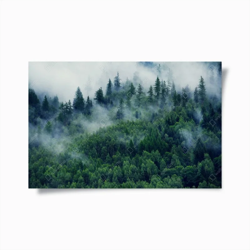 Póster bosque en la niebla, calma montañosa