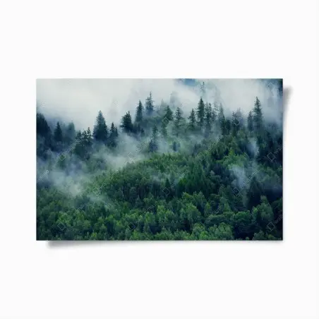 Póster bosque en la niebla, calma montañosa – Pixers®
