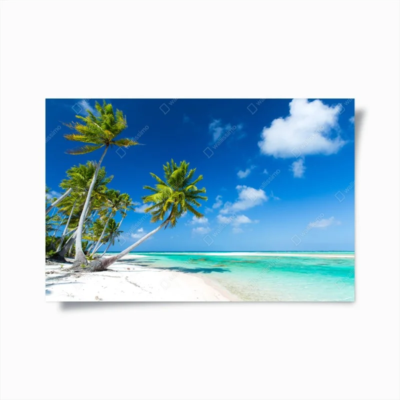 Póster paraíso tropical con palmeras