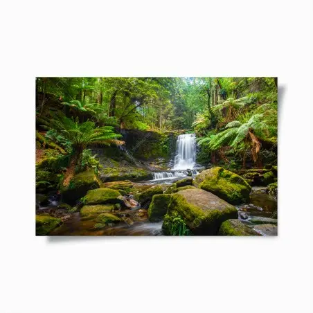 Póster refugio de musgo y cascadas en el bosque – Pixers®