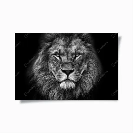 Póster retrato majestuoso de león en blanco y negro – Pixers®