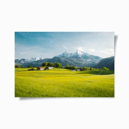Póster serenidad alpina: pradera y cumbres nevadas – Pixers®