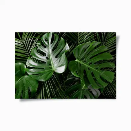 Póster composición de hojas tropicales verdes – Pixers®