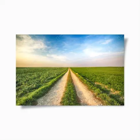 Póster camino rural hacia el horizonte entre campos verdes – Pixers®