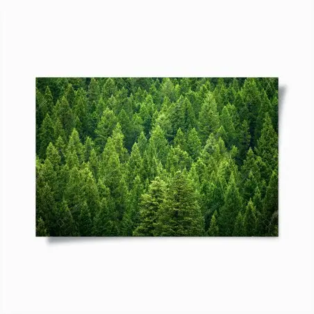 Póster bosque de pinos en verde esmeralda – Pixers®