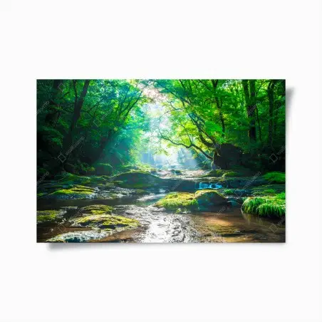 Póster bosque luminoso junto al río – Pixers®