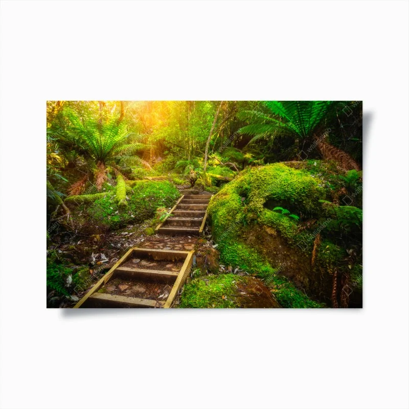 Póster sendero jurásico en la península de Tasman, Tasmania