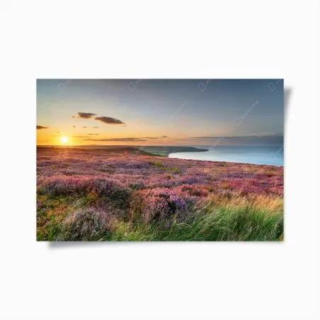 Póster atardecer sobre brezos en North York Moors – Pixers®