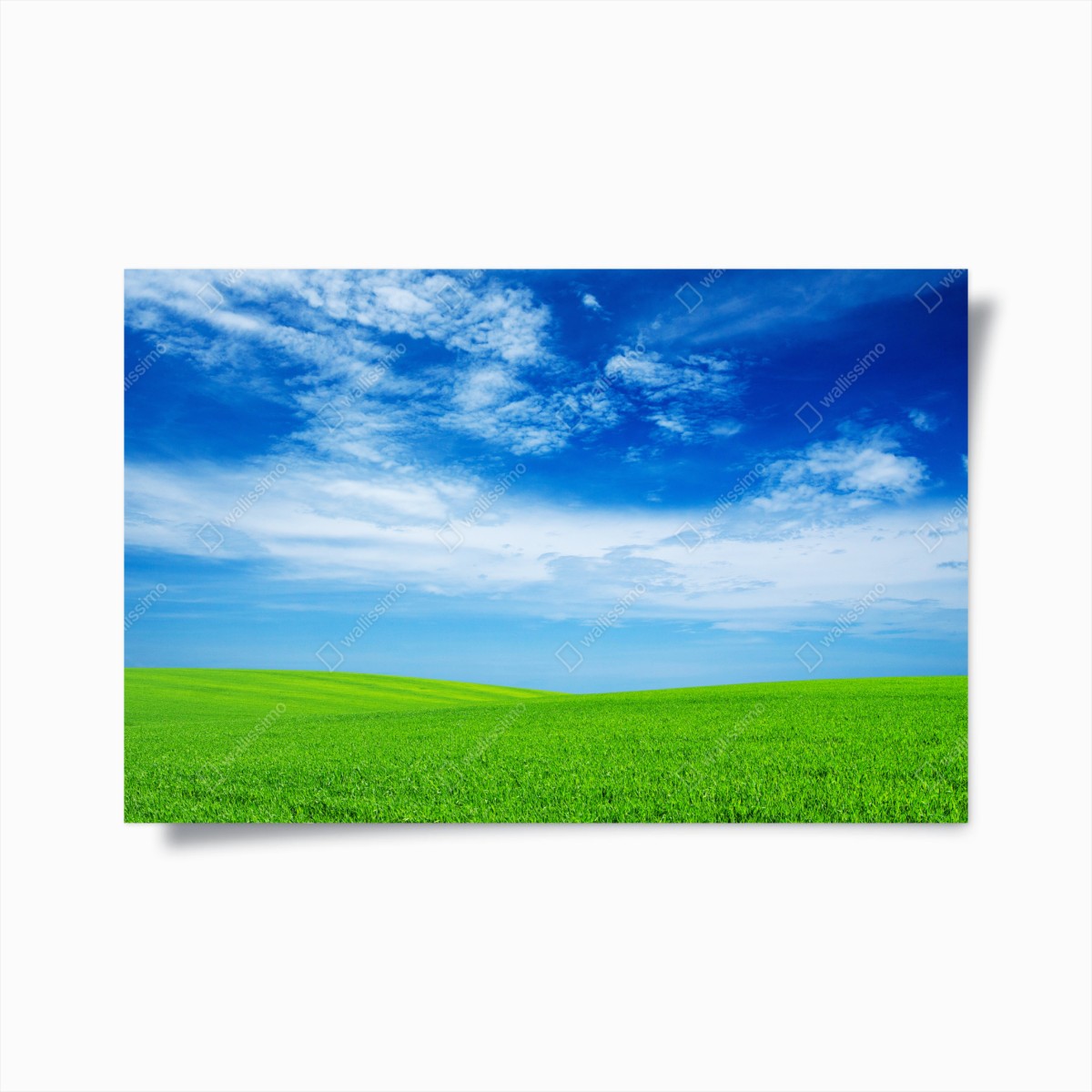 Póster pradera verde bajo cielo azul brillante – Pixers®