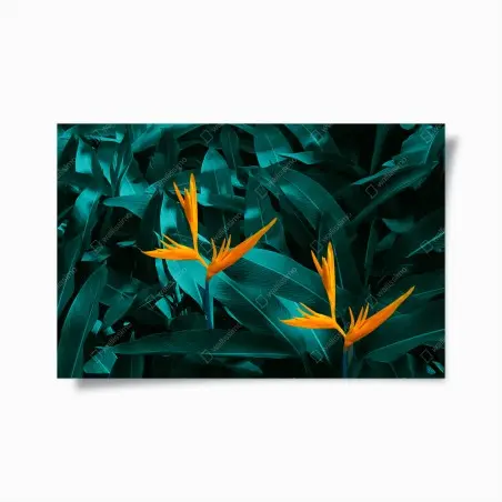 Póster flores tropicales ave del paraíso sobre follaje esmeralda – Pixers®