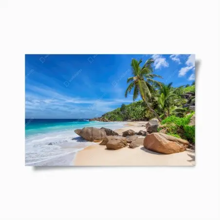 Póster escena de playa tropical con palmeras y rocas – Pixers®