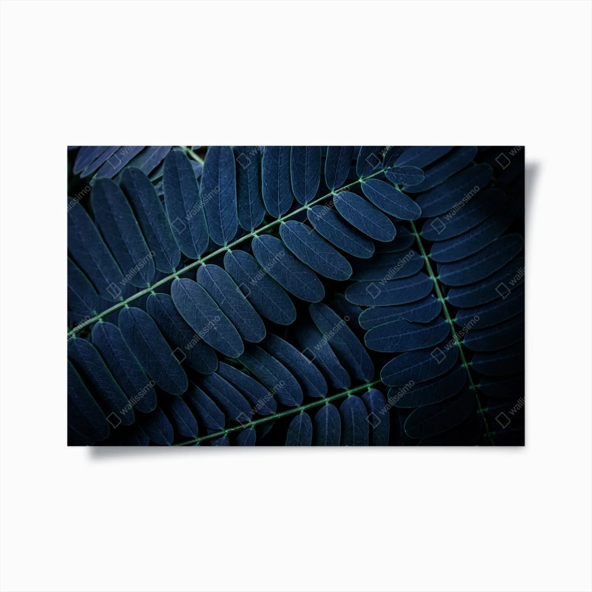 Póster patrón botánico de hojas en tonos azulados – Pixers® Póster patrón botánico de hojas en tonos azulados – Pixers®