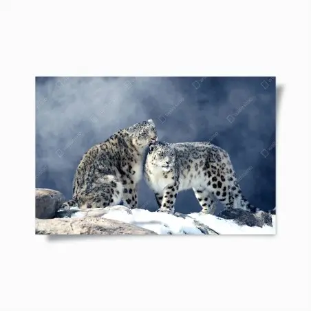 Póster pareja de leopardos de las nieves en paisaje invernal – Pixers®