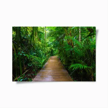 Póster pasarela en manglar: paseo entre verdes – Pixers®
