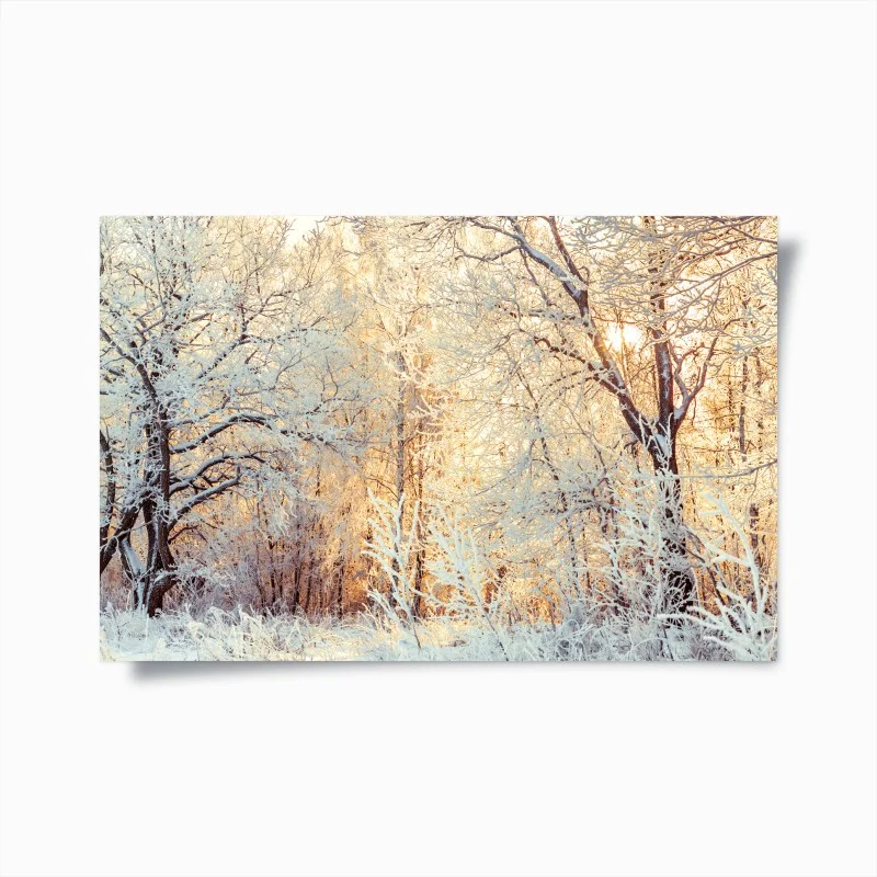 Póster bosque invernal al atardecer