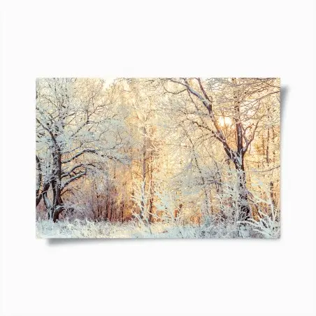 Póster bosque invernal al atardecer – Pixers®