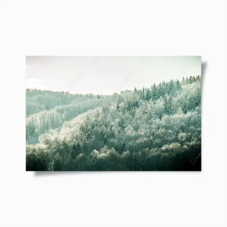Póster bosque helado en la colina – Pixers®