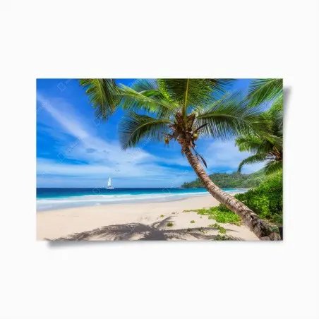 Póster escena de playa tropical con palmera inclinada y velero – Pixers®