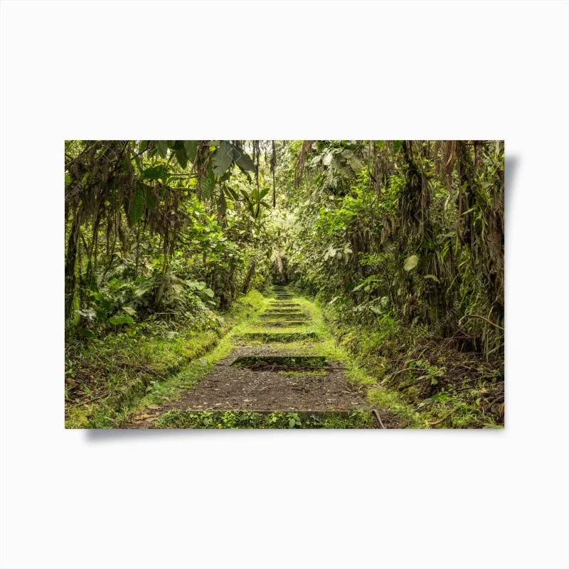 Póster sendero entre la selva tropical – Pixers®