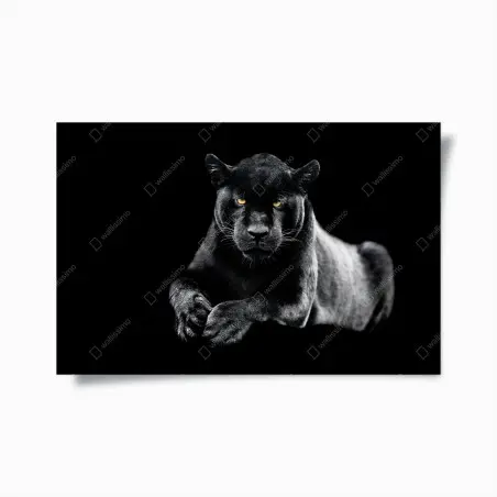 Póster mirada intensa de la pantera negra – Pixers®