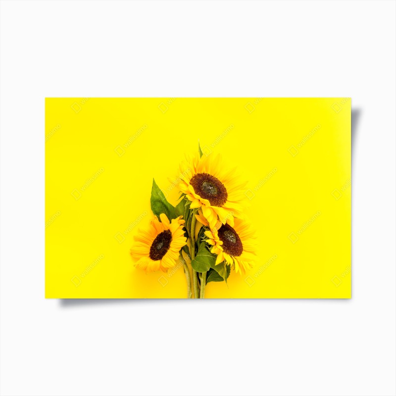 Póster girasoles sobre fondo amarillo vibrante