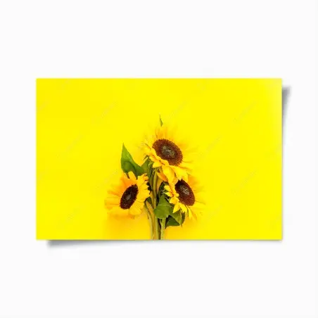Póster girasoles sobre fondo amarillo vibrante – Pixers®