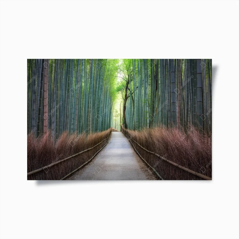 Póster camino sereno entre bambúes