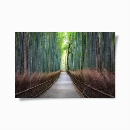 Póster camino sereno entre bambúes – Pixers®