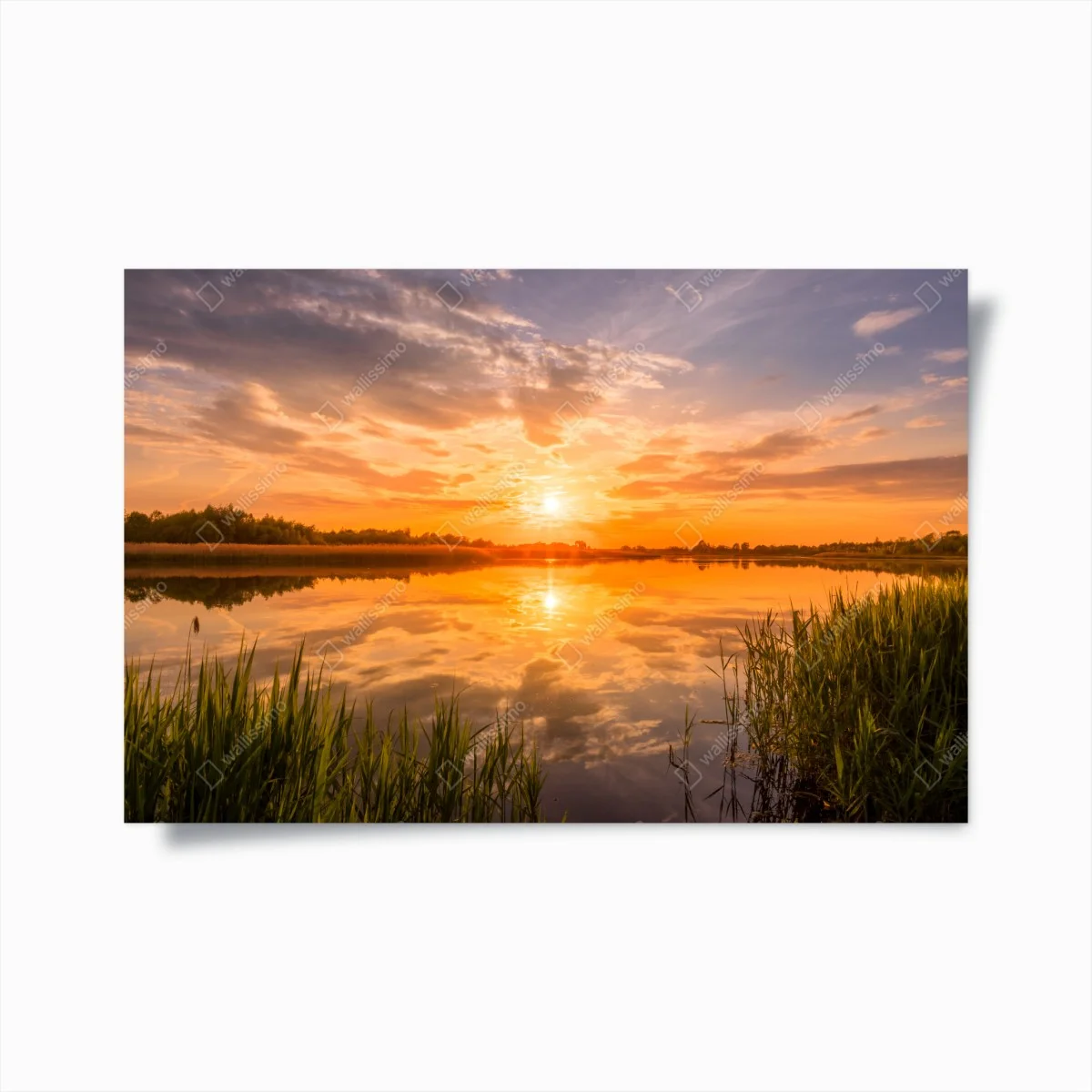 Póster puesta de sol dorada sobre el lago – Pixers® Póster puesta de sol dorada sobre el lago – Pixers®