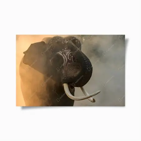 Póster elefante de Surin en la niebla dorada – Pixers®