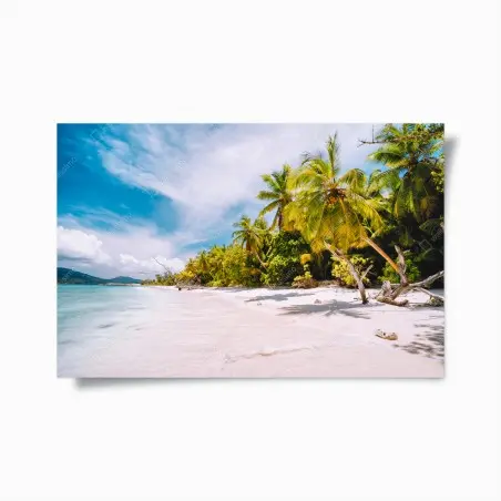 Póster playa tropical con palmeras y arena blanca – Pixers®
