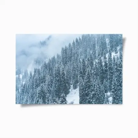 Póster bosque de pinos nevados en montaña neblinosa – Pixers®