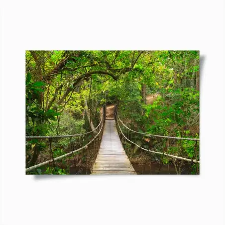 Póster pasarela de madera en bosque frondoso – Pixers®