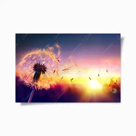 Póster diente de león al viento en atardecer dorado – Pixers®