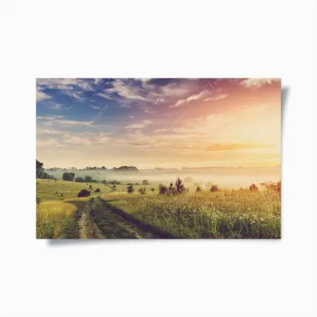 Póster amanecer brumoso en la pradera dorada – Pixers®