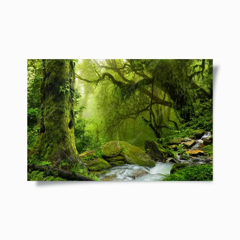 Póster remanso verde en bosque húmedo – Pixers®