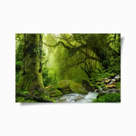 Póster remanso verde en bosque húmedo – Pixers®