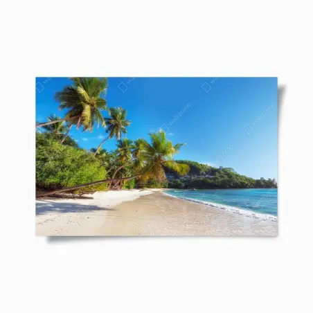 Póster playa tropical con palmeras y mar turquesa – Pixers®