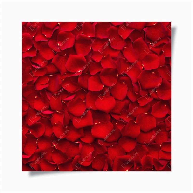 Póster arte decorativo de pétalos de rosa rojos – Pixers®