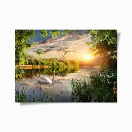 Póster atardecer sereno en el lago con cisne – Pixers®