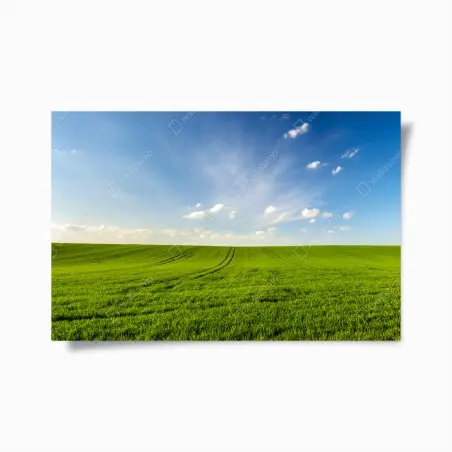 Póster panorama de campo verde en primavera – Pixers®
