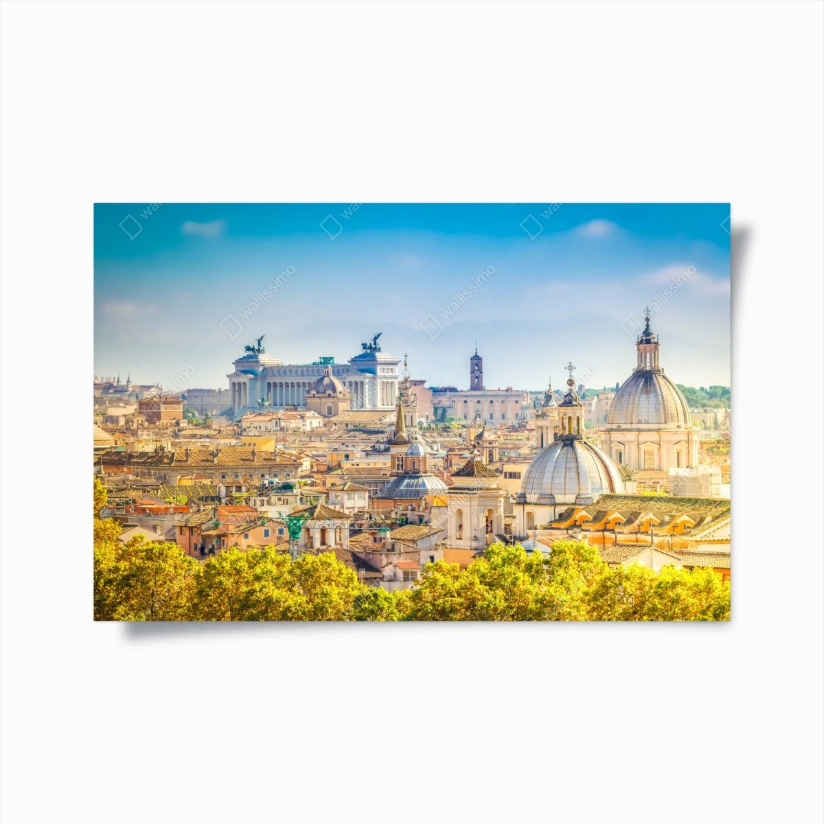 Póster panorama urbano de Roma con cúpulas clásicas – Pixers® Póster panorama urbano de Roma con cúpulas clásicas – Pixers®