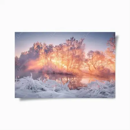 Póster amanecer invernal entre árboles helados – Pixers®