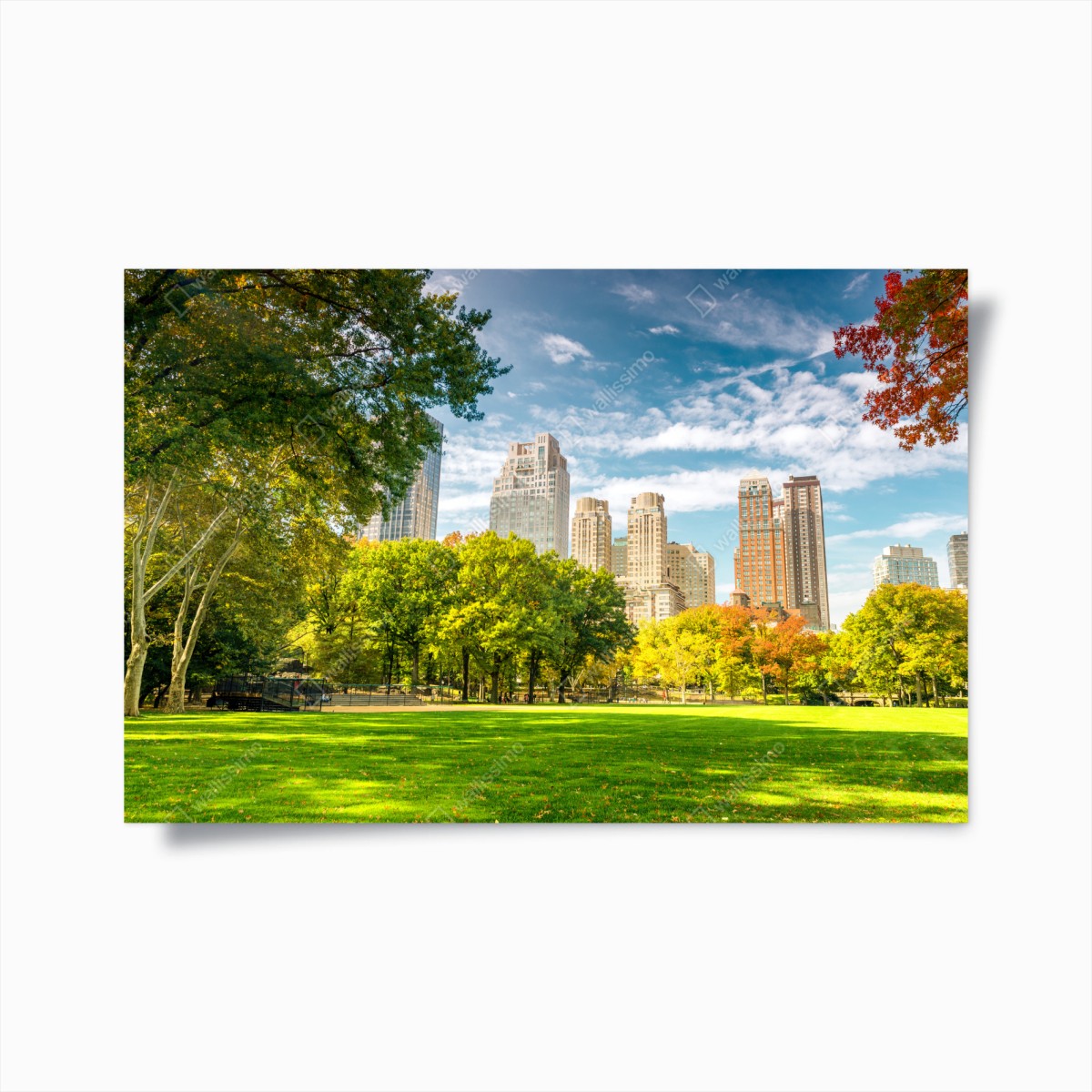 Póster brisa otoñal en Central Park, Nueva York – Pixers®